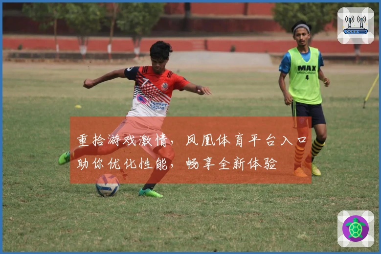 重拾游戏激情，凤凰体育平台入口助你优化性能，畅享全新体验