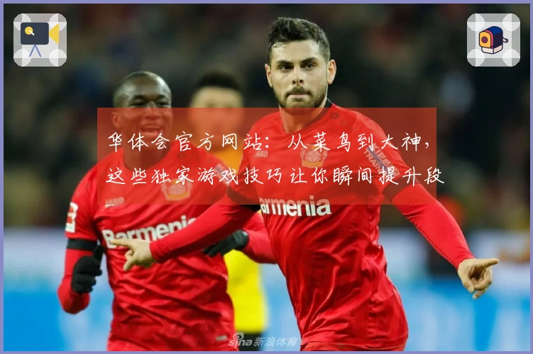 华体会官方网站：从菜鸟到大神，这些独家游戏技巧让你瞬间提升段位！