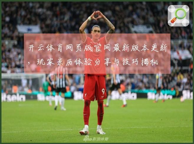开云体育网页版官网最新版本更新，玩家亲历体验分享与技巧揭秘